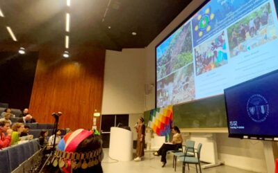 Reimagining engineering for indigenous people’s rights